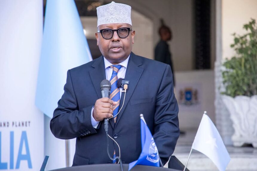 Somalia Officially Assumes Seat on United Nations Security Council | SONNA