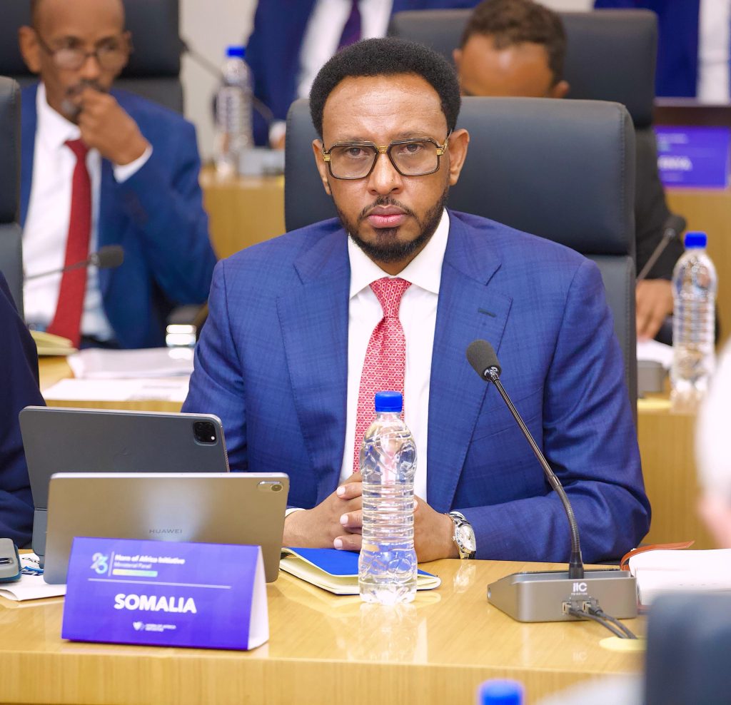 Minister of Finance Participates in the Horn of Africa Initiative ...