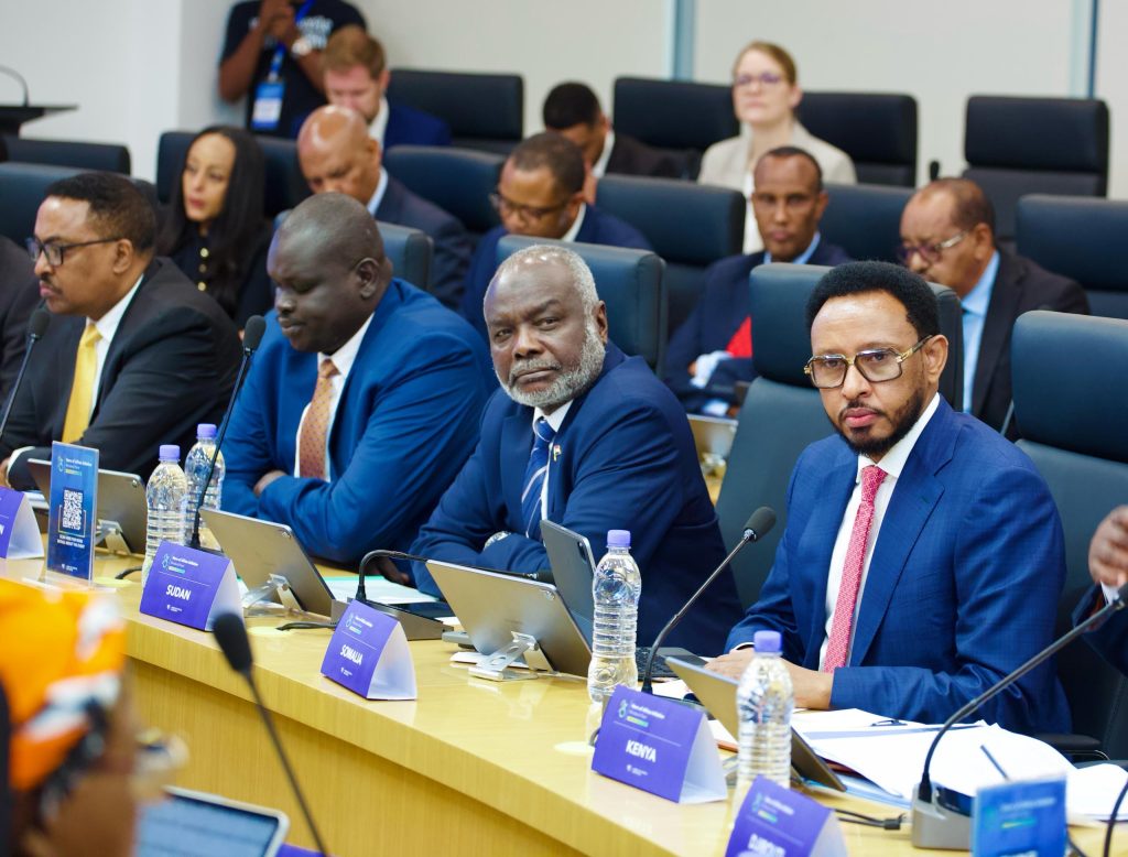 Minister of Finance Participates in the Horn of Africa Initiative ...